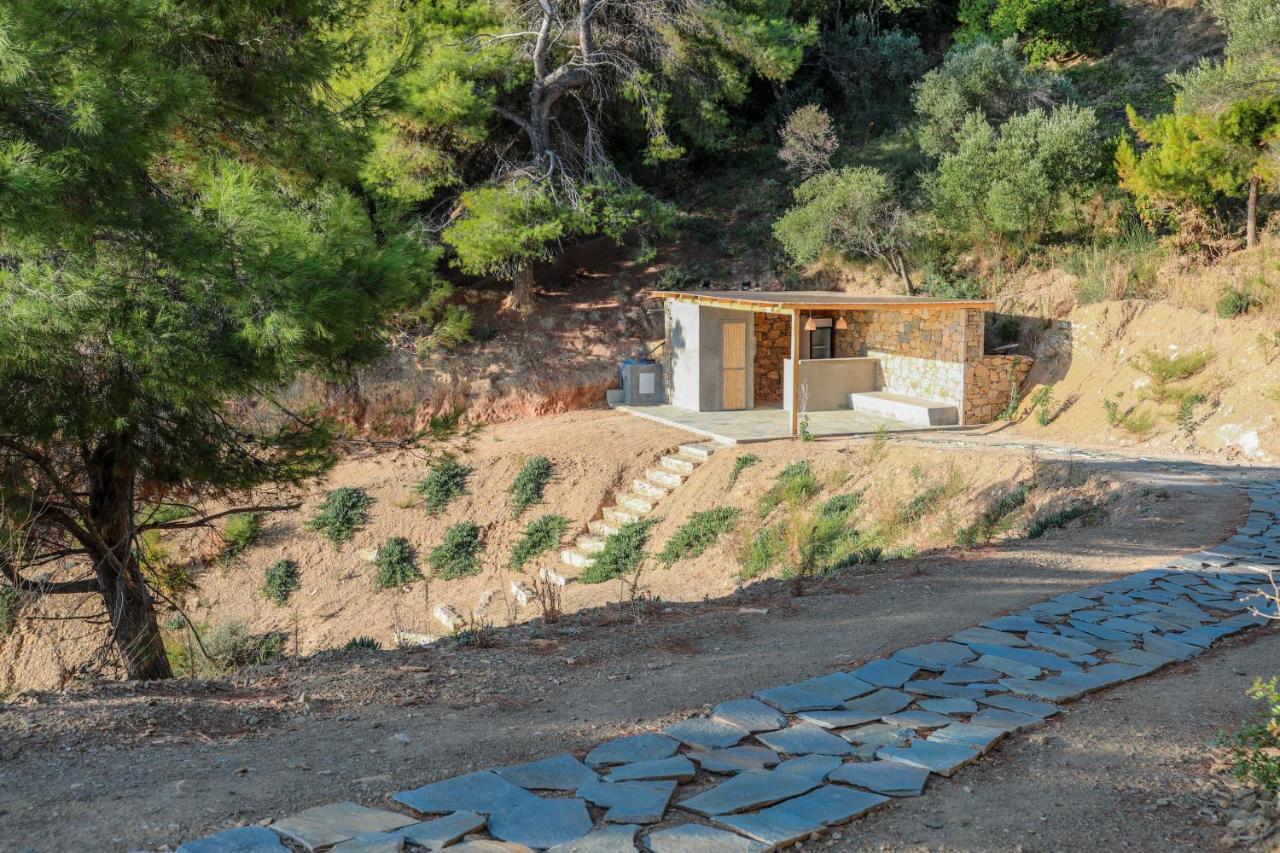 Thalasses Villas Skiathos 푼타 외부 사진